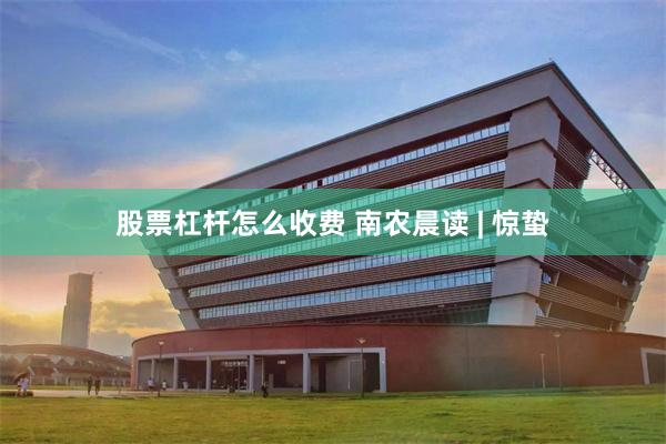股票杠杆怎么收费 南农晨读 | 惊蛰