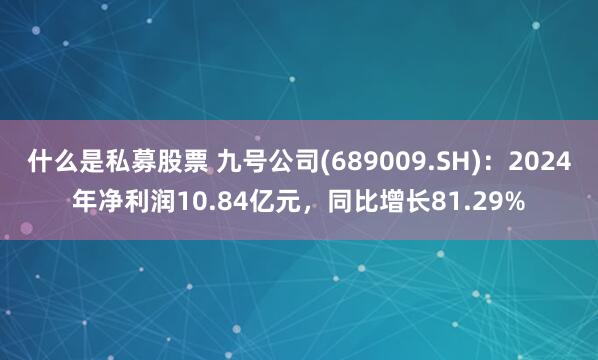什么是私募股票 九号公司(689009.SH)：2024年净利润10.84亿元，同比增长81.29%