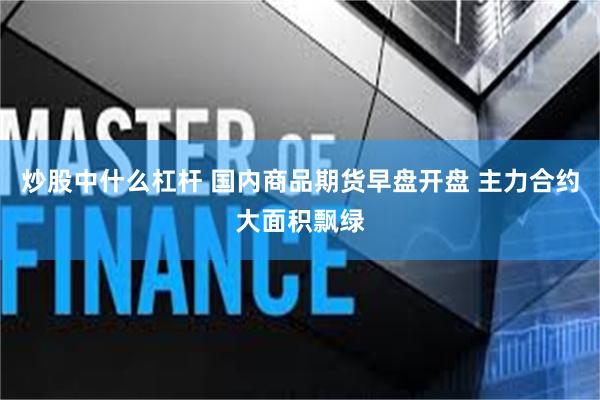 炒股中什么杠杆 国内商品期货早盘开盘 主力合约大面积飘绿