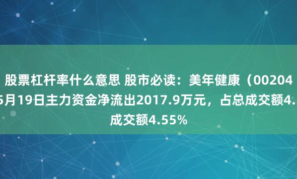 股票杠杆率什么意思 股市必读：美年健康（002044）5月19日主力资金净流出2017.9万元，占总成交额4.55%