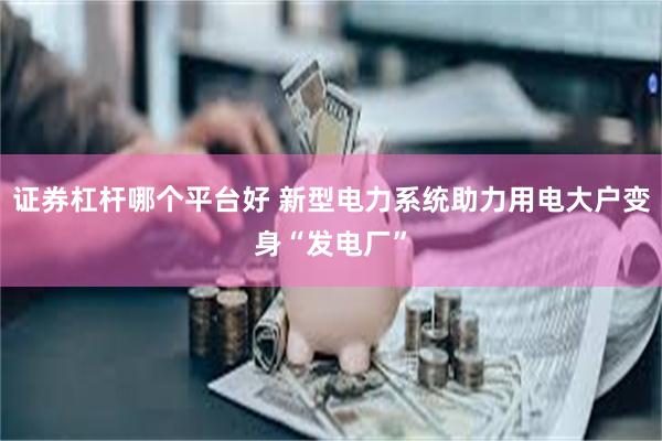 证券杠杆哪个平台好 新型电力系统助力用电大户变身“发电厂”