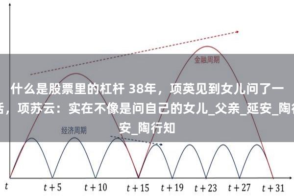 什么是股票里的杠杆 38年，项英见到女儿问了一句话，项苏云：实在不像是问自己的女儿_父亲_延安_陶行知