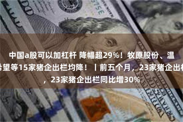 中国a股可以加杠杆 降幅超29%！牧原股份、温氏股份、新希望等15家猪企出栏均降！丨前五个月，23家猪企出栏同比增30%