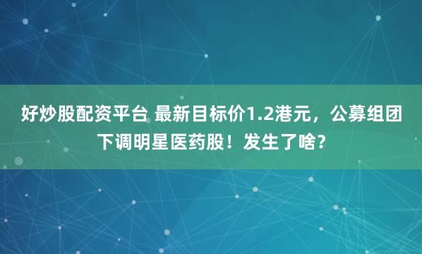 好炒股配资平台 最新目标价1.2港元，公募组团下调明星医药股！发生了啥？