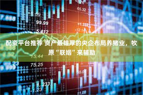 配资平台推荐 资产最雄厚的央企布局养猪业，牧原“联姻”来辅助
