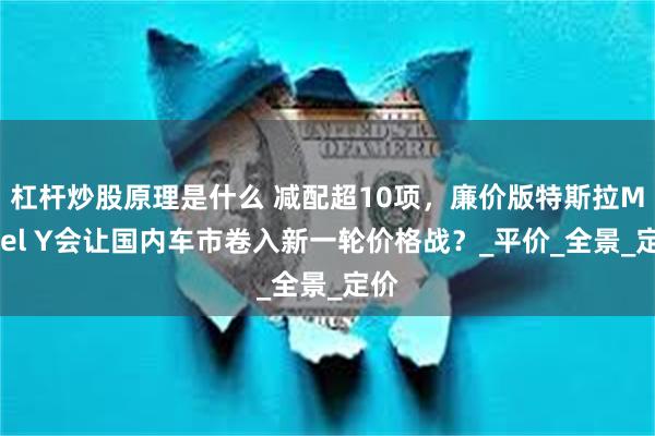 杠杆炒股原理是什么 减配超10项，廉价版特斯拉Model Y会让国内车市卷入新一轮价格战？_平价_全景_定价