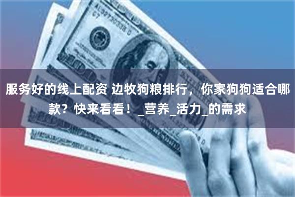 服务好的线上配资 边牧狗粮排行，你家狗狗适合哪款？快来看看！_营养_活力_的需求