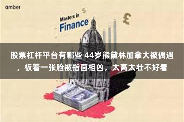 股票杠杆平台有哪些 44岁熊黛林加拿大被偶遇，板着一张脸被指面相凶，太高太壮不好看
