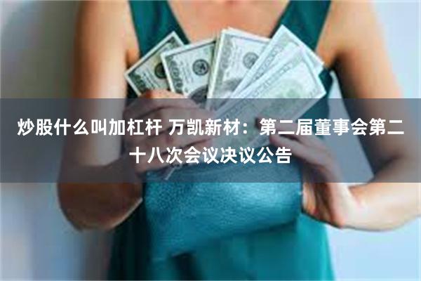 炒股什么叫加杠杆 万凯新材：第二届董事会第二十八次会议决议公告