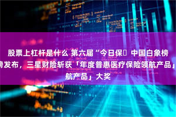 股票上杠杆是什么 第六届“今日保・中国白象榜”重磅发布,三星财险斩获「年度普惠医疗保险领航产品」大奖